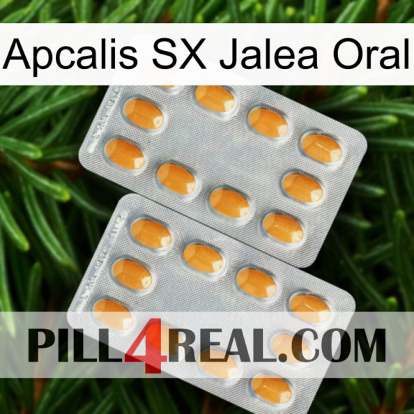 Apcalis SX Oral Jelly cialis4.jpg